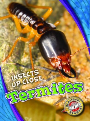 cover image of Termites